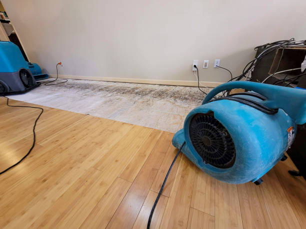 Professional Basement Flood Cleanup technician working in Syracuse, NY